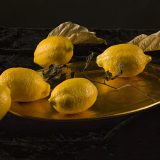 carlostobonfotografo.com-arte-bodegones-limones-dorados